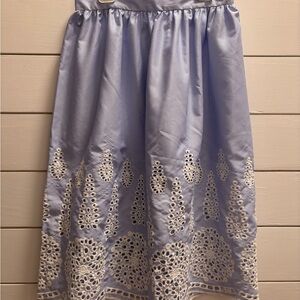 H&M Blue and White Embroidered A-Line Skirt